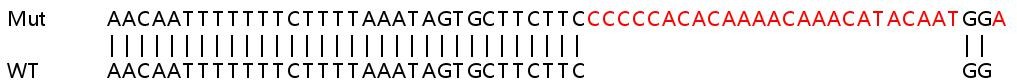 Sanger Sequencing - Human EIF4G2 (P97/DAP5) knockout HEK-293T cell lysate (AB263183), expandable thumbnail