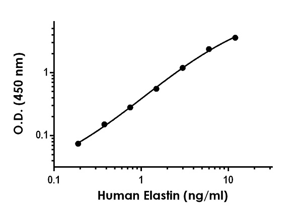 Sandwich ELISA - Human Elastin Antibody Pair - BSA and Azide free (AB256604), expandable thumbnail