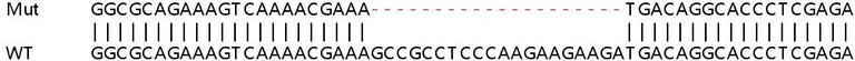 Sanger Sequencing - Human ELOF1 knockout HEK-293T cell lysate (AB263186)