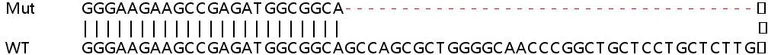 Sanger Sequencing - Human EMC10 (C19orf63) knockout HeLa cell line (AB265783)