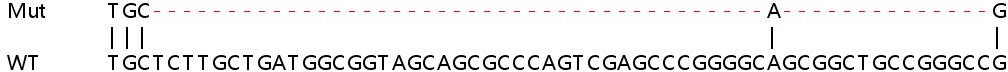 Sanger Sequencing - Human EMC10 (C19orf63) knockout HeLa cell line (AB265783), expandable thumbnail