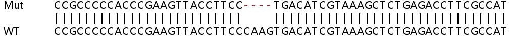 Sanger Sequencing - Human EMC2 (TTC35) knockout HeLa cell lysate (AB263187)