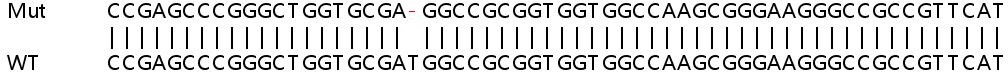 Sanger Sequencing - Human EMC6 (Transmembrane protein 93) knockout HeLa cell line (AB265710), expandable thumbnail
