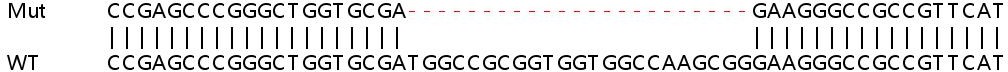Sanger Sequencing - Human EMC6 (Transmembrane protein 93) knockout HeLa cell line (AB265710), expandable thumbnail