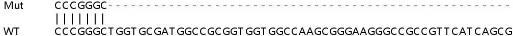 Sanger Sequencing - Human EMC6 (Transmembrane protein 93) knockout HeLa cell line (AB265710), expandable thumbnail