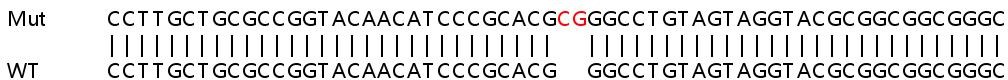 Sanger Sequencing - Human EMD (Emerin) knockout HEK-293T cell lysate (AB257423), expandable thumbnail