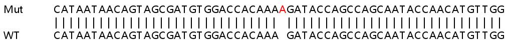 Sanger Sequencing - Human EMP1 knockout HeLa cell line (AB265806), expandable thumbnail