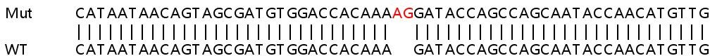 Sanger Sequencing - Human EMP1 knockout HeLa cell lysate (AB258409)