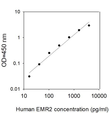 Sandwich ELISA - Human EMR2 ELISA Kit (AB313688)
