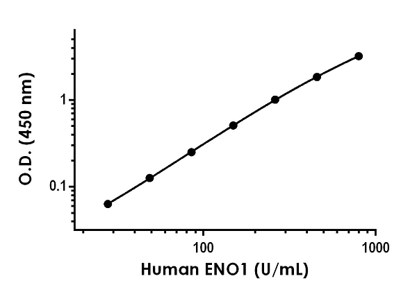 Sandwich ELISA - Human ENO1 ELISA Kit (Alpha-Enolase) (AB181417)