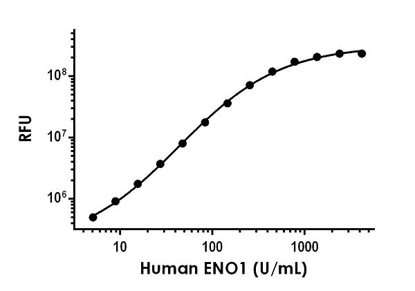 Sandwich ELISA - Human ENO1 ELISA Kit, Fluorescent (AB229405)