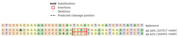 Next Generation Sequencing - Human ENO2 knockout Jurkat cell line (AB275829)