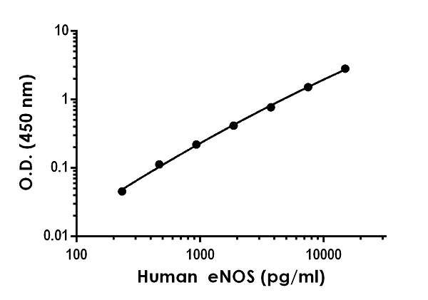 Sandwich ELISA - Human eNOS ELISA Kit (AB263878)