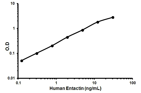 Sandwich ELISA - Human Entactin ELISA Kit (NID1) (AB113338)