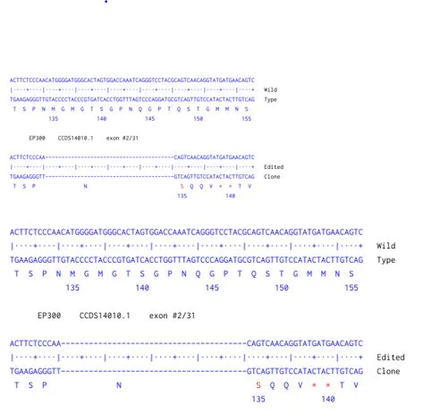 Next Generation Sequencing - Human EP300 knockout HCT116 cell line (AB286395)