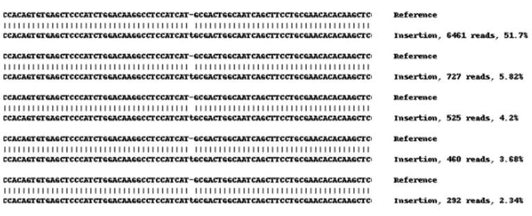 Next Generation Sequencing - Human EPAS1 (HIF-2-alpha) knockout A549 cell lysate (AB259779)