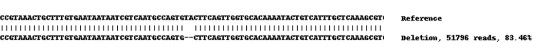 Next Generation Sequencing - Human EPCAM knockout A-431 cell line (AB261902), expandable thumbnail