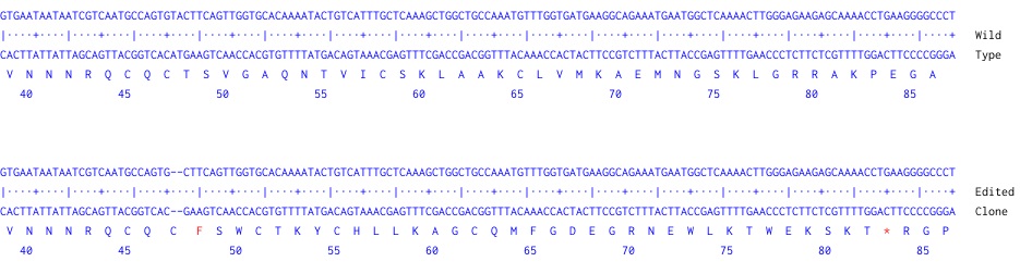 Next Generation Sequencing - Human EPCAM knockout A-431 cell line (ab261902), expandable thumbnail