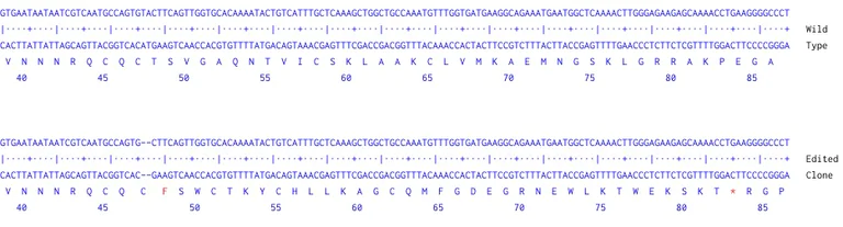 Next Generation Sequencing - Human EPCAM knockout A-431 cell line (AB261902)