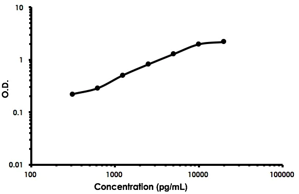 Sandwich ELISA - Human EPCR ELISA Kit (AB213774)