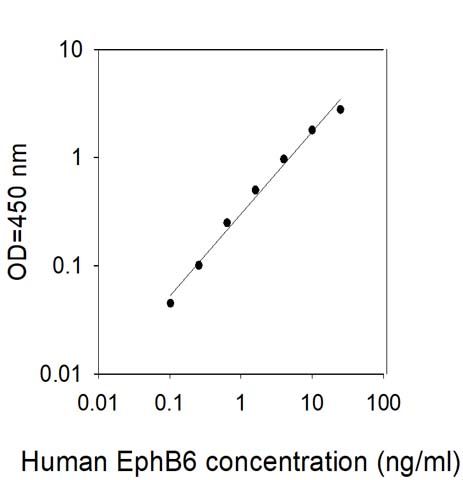 Sandwich ELISA - Human Eph receptor B6 ELISA Kit (AB313690)