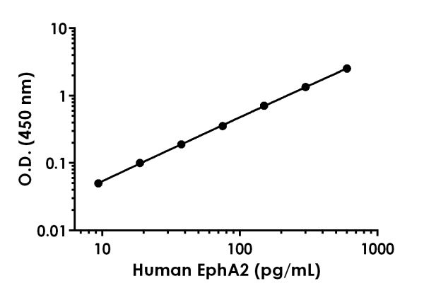 Sandwich ELISA - Human EphA2 ELISA Kit (AB219051)