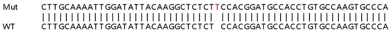 Sanger Sequencing - Human EPHA4 (Eph receptor A4/SEK) knockout HeLa cell line (AB264760)