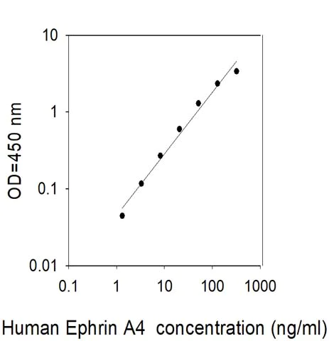 Sandwich ELISA - Human Ephrin A4 ELISA Kit (AB309399)