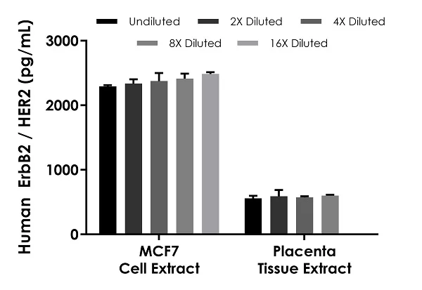 Sandwich ELISA - Human ErbB2 / HER2 ELISA Kit (AB283881)