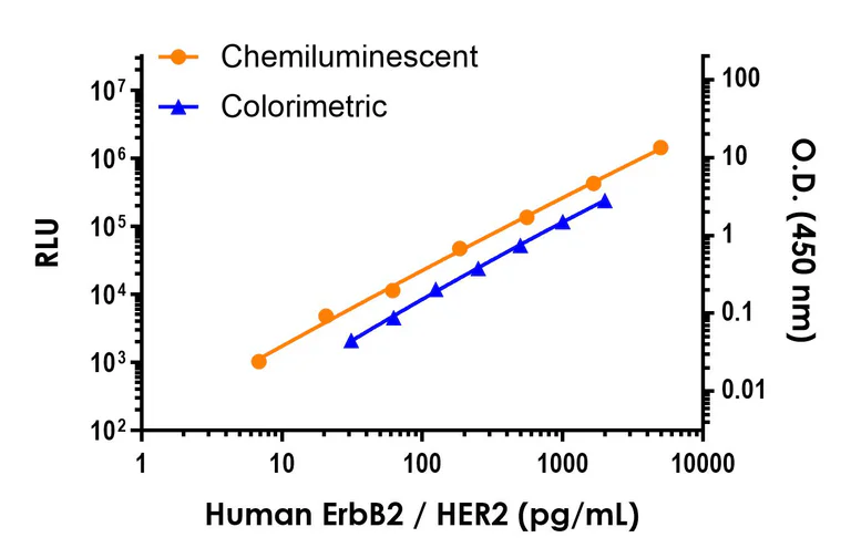 Sandwich ELISA - Human ErbB2 / HER2 ELISA Kit, Chemiluminescent (AB326411)