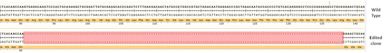 Next Generation Sequencing - Human ErbB2 / HER2 knockout MCF7 cell line (AB286260)