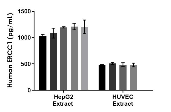 Sandwich ELISA - Human ERCC1 ELISA Kit (AB210582)