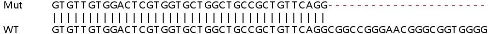 Sanger Sequencing - Human ERI3 knockout HeLa cell lysate (AB263190), expandable thumbnail