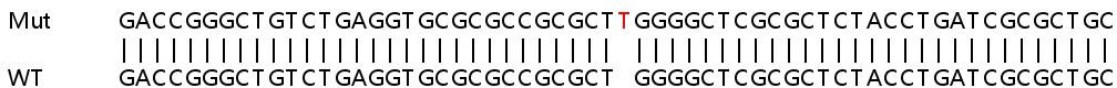 Sanger Sequencing - Human ERMP1 knockout HeLa cell line (AB265824)
