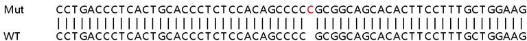 Sanger Sequencing - Human ERN1 (IRE1) knockout HeLa cell lysate (AB263819)