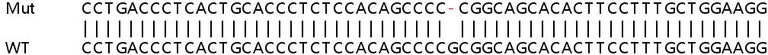 Sanger Sequencing - Human ERN1 (IRE1) knockout HeLa cell lysate (AB263819)