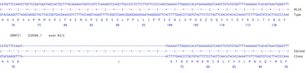 Next Generation Sequencing - Human ERRFI1 knockout A549 cell line (AB300930)