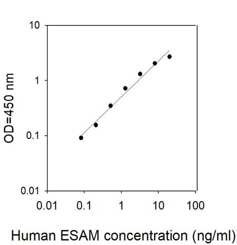 Sandwich ELISA - Human ESAM ELISA Kit (AB313597)