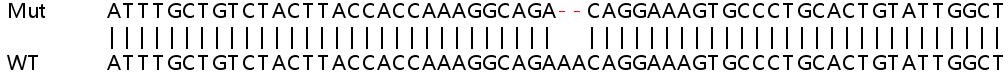 Sanger Sequencing - Human ESD knockout HEK-293T cell lysate (AB257942), expandable thumbnail