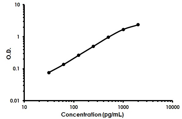 Sandwich ELISA - Human ESM1 ELISA Kit (Endocan) (AB213776)