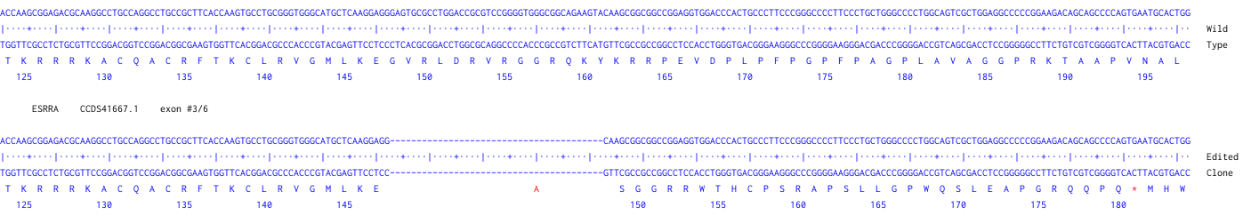 Next Generation Sequencing - Human ESRRA knockout MCF7 cell line (AB289292), expandable thumbnail
