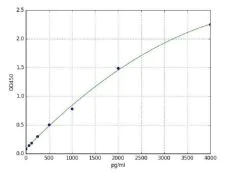Sandwich ELISA - Human Estrogen Receptor alpha ELISA Kit (AB285240)
