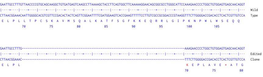 Next Generation Sequencing - Human ETS2 knockout THP1 cell line (AB290239), expandable thumbnail
