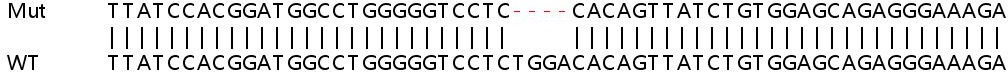 Sanger Sequencing - Human ETV6 (Tel) knockout A549 cell lysate (AB258418)