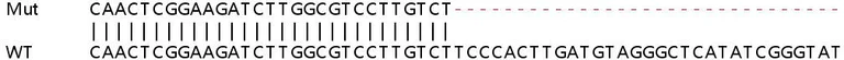 Sanger Sequencing - Human ETV7 knockout A549 cell lysate (AB258863)