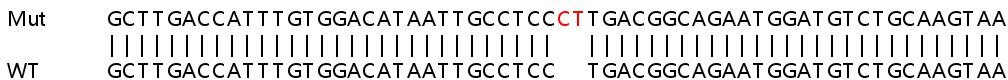 Sanger Sequencing - Human EXOC2 knockout HeLa cell line (AB265839), expandable thumbnail