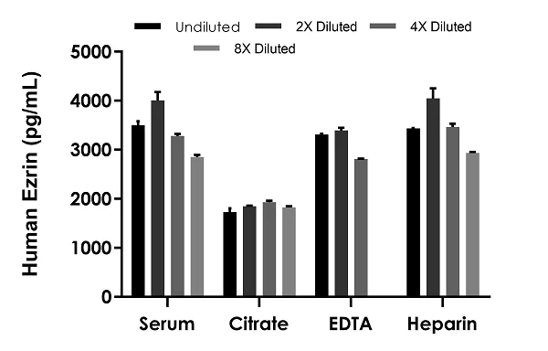 Sandwich ELISA - Human Ezrin ELISA Kit (AB278116)