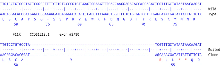Next Generation Sequencing - Human F11R knockout U-87 MG cell line (AB326032)