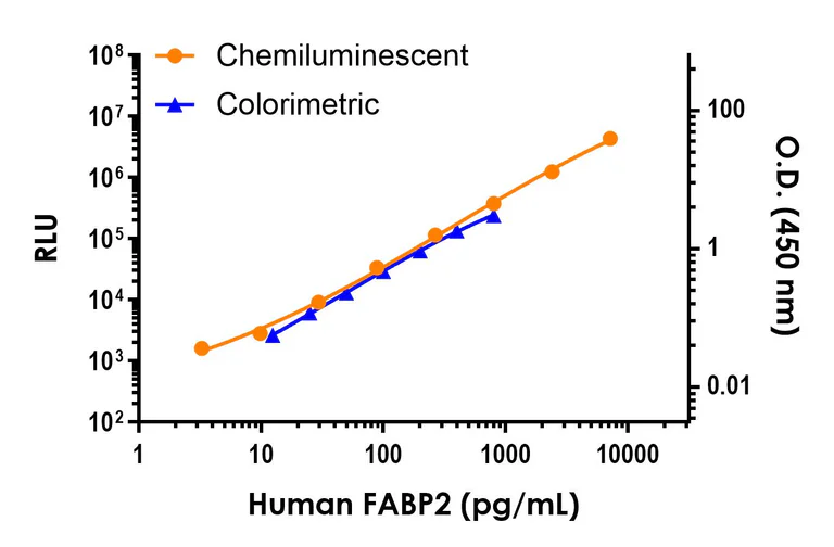 Sandwich ELISA - Human FABP2 ELISA Kit, Chemiluminescent (AB326007)