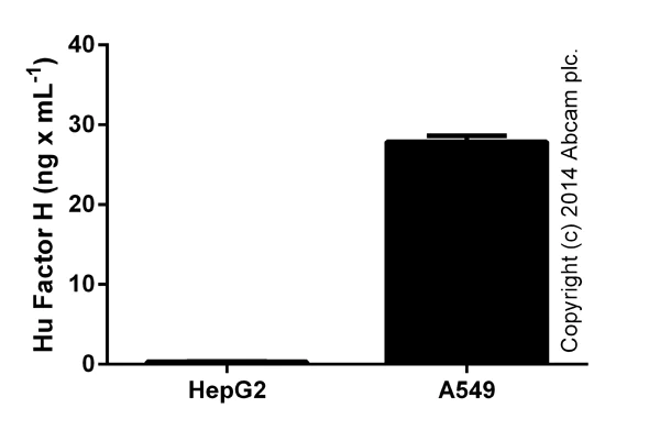 ELISA - Human Factor H ELISA Kit (AB137975)